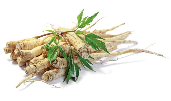 Astragalus-herb